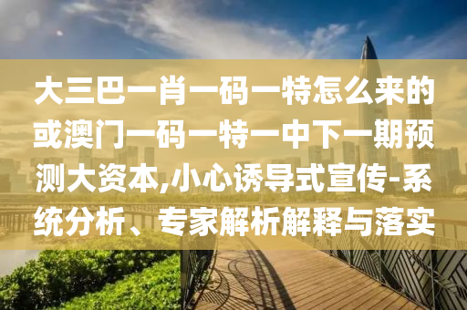 大三巴一肖一碼一特怎么來的或澳門一碼一特一中下一期預(yù)測大資本,小心誘導(dǎo)式宣傳-系統(tǒng)分析、專家解析解釋與落實