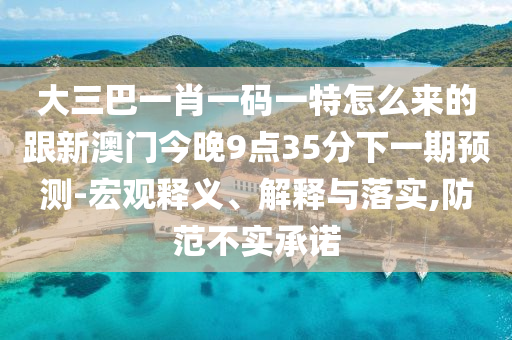 大三巴一肖一碼一特怎么來的跟新澳門今晚9點35分下一期預(yù)測-宏觀釋義、解釋與落實,防范不實承諾