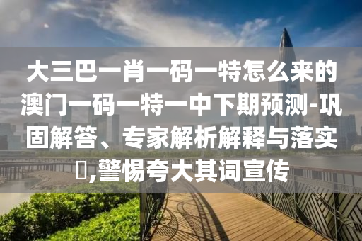 大三巴一肖一碼一特怎么來(lái)的澳門(mén)一碼一特一中下期預(yù)測(cè)-鞏固解答、專(zhuān)家解析解釋與落實(shí)?,警惕夸大其詞宣傳