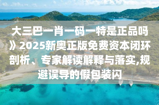 大三巴一肖一碼一特是正品嗎》2025新奧正版免費資本閉環(huán)剖析、專家解讀解釋與落實,規(guī)避誤導的假包裝閃