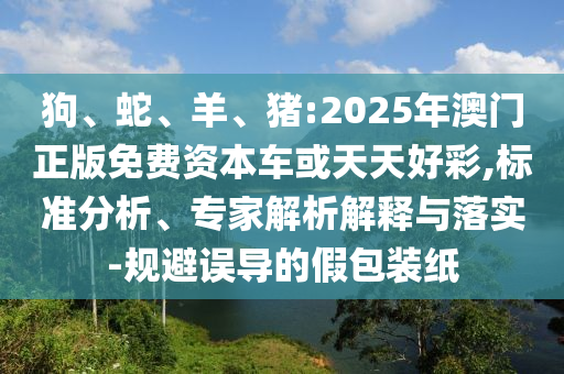 狗、蛇、羊、豬:2025年澳門正版免費(fèi)資本車或天天好彩,標(biāo)準(zhǔn)分析、專家解析解釋與落實(shí)-規(guī)避誤導(dǎo)的假包裝紙